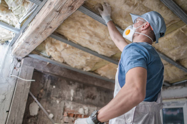 Best Insulation Removal  in Marriott Slaterville, UT